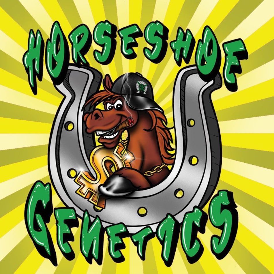 Horseshoe Genetics